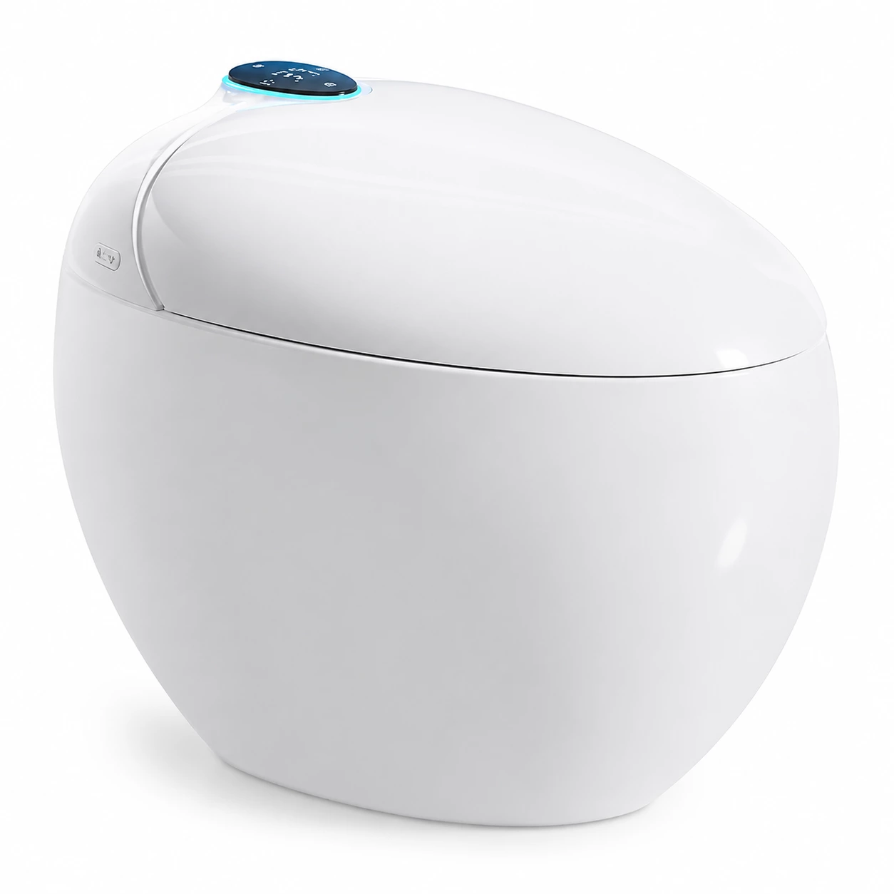 Smart Toilet