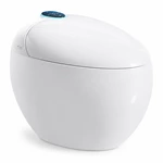 Smart Toilet